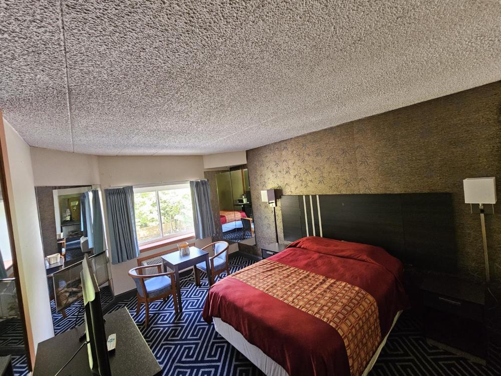 Queen Room - Smoking interior